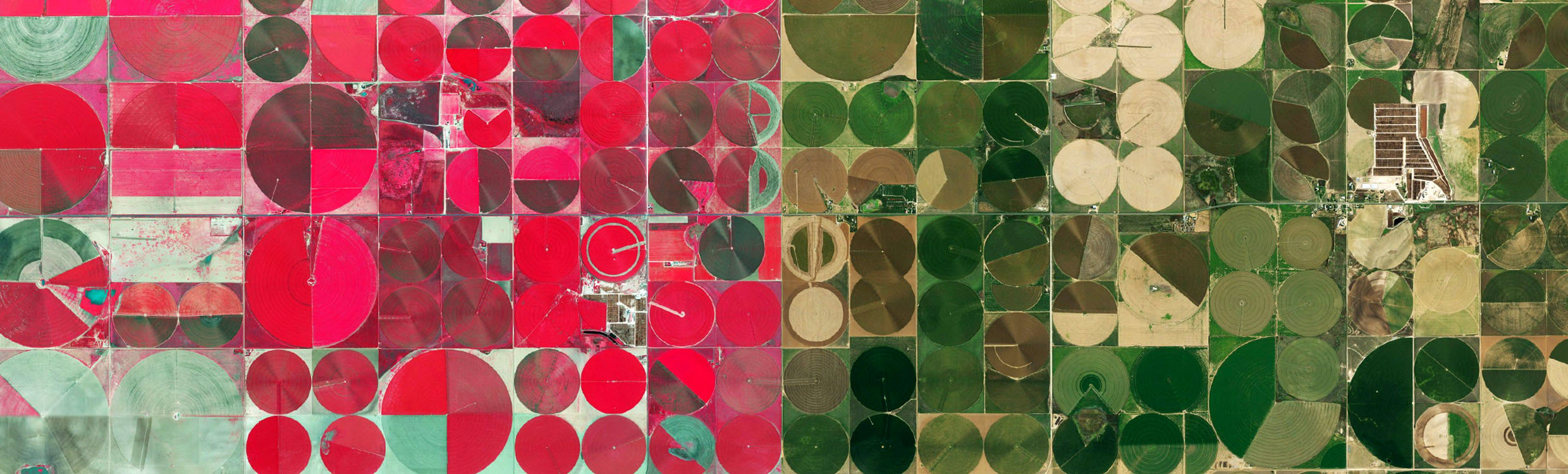 Dimmitt_Texas_2480x750